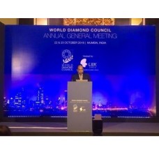 WDC held 14th AGM in Mumbai